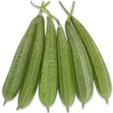 Fresh Sponge Gourd