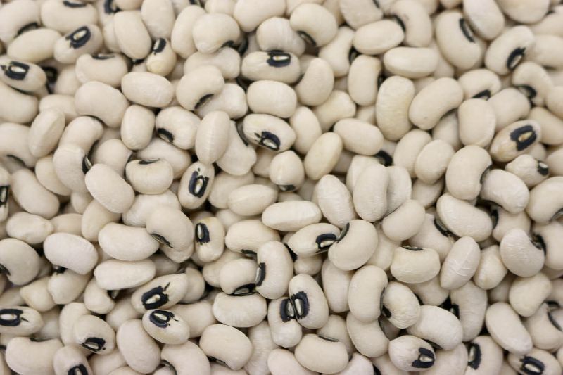 Organic Black Eyed Beans, Packaging Type : Plastic Bag