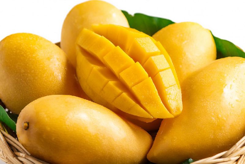 Organic Fresh Mango,fresh mango, for Direct Consumption, Food Processing, Variety : Alphonso