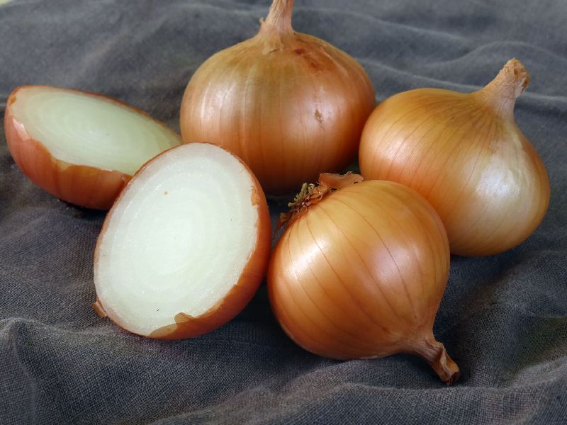 Organic Fresh Yellow Onion, Shelf Life : 15days