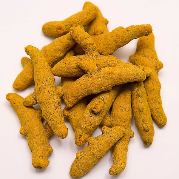 Organic turmeric finger, for Cosmetic Products, Herbal Products, Packaging Type : Jute Bag, Plastic Bag