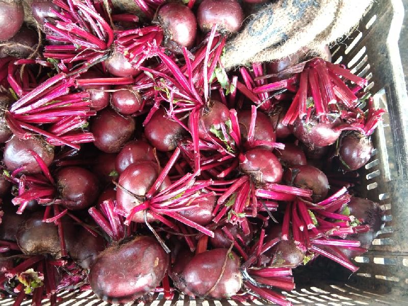 Fresh Beetroot