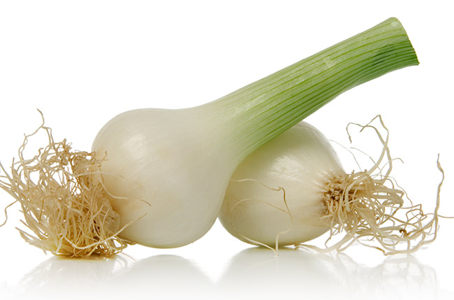 Green Onion, Grade : A+
