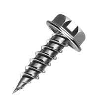 Stainless Steel self tapping screw