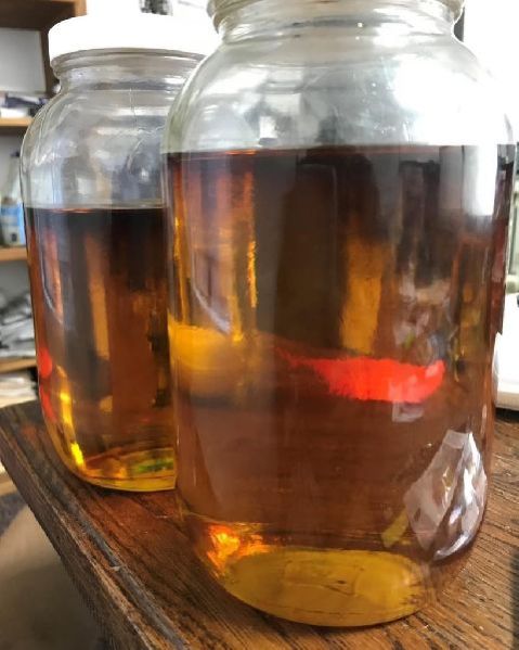 Quality Crude Oil, Packaging Type : Glass Bottle, Form : Liquid