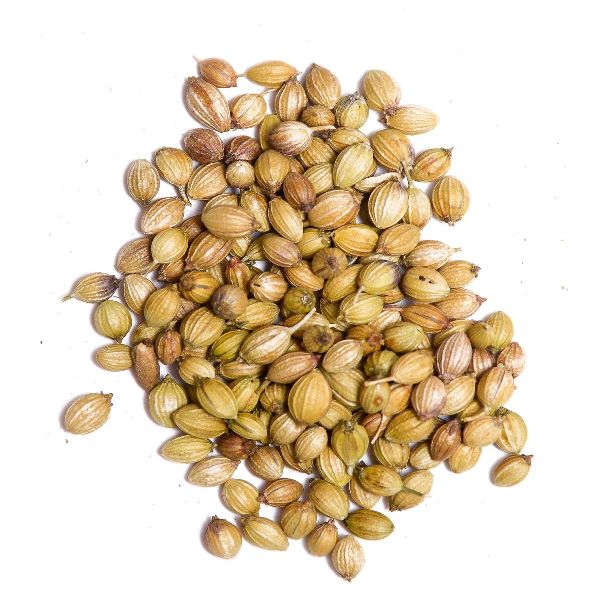 Organic Natural Coriander Seeds, Color : Brown