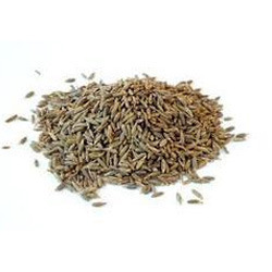 Natural Cumin Seeds, for Cooking, Color : Brown