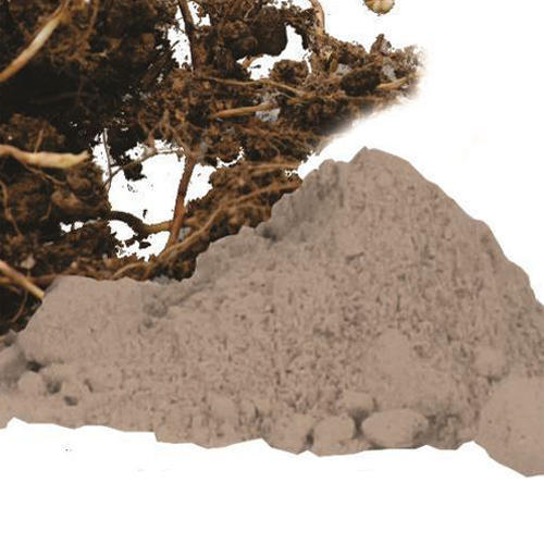 nagarmotha powder