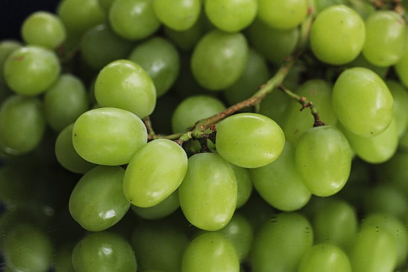 Common green grapes