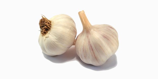 Organic fresh garlic, for Cooking, Color : Off White