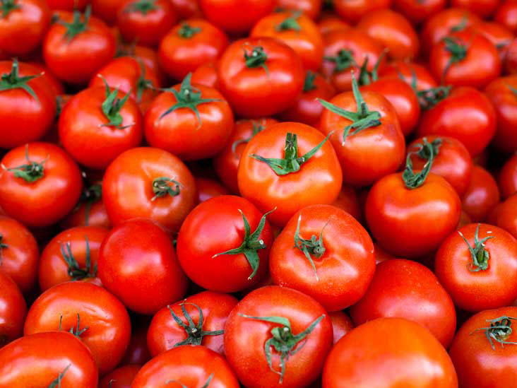 Natural Fresh Tomato, Color : Red