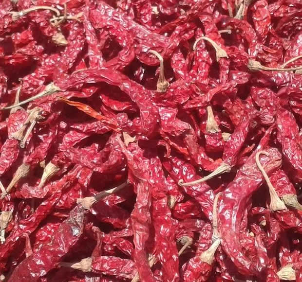 Indian Dried Red Chillies Byadgi 668, Certification : FSSAI Certified, Indain Spices board