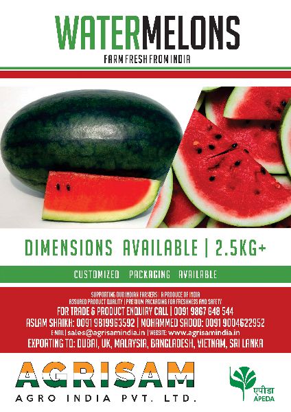 AGRISAM Common FRESH WATERMELONS, Shelf Life : 25