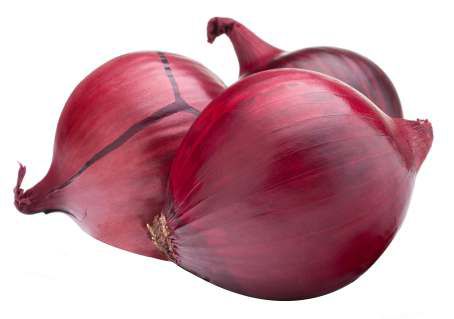 Organic Natural Onion, Size : 65mm+