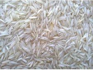 Hard Organic Basmati Rice, Packaging Size : 10kg