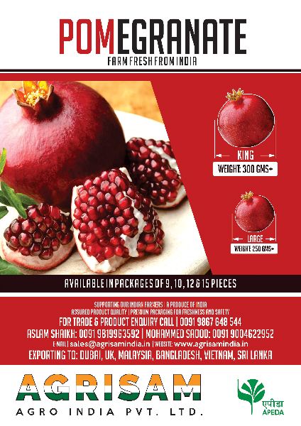 Common Pomegranate, for Making Custards, Making Juice, Making Syrups., Feature : Non Harmful, Pesticide Free