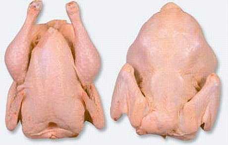 Fresh Whole Chicken