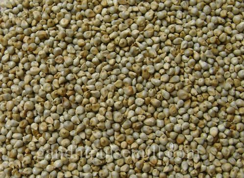 Common Bajra Seeds, for Cookies, Making Bread, Feature : Natural Test