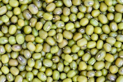 mung beans