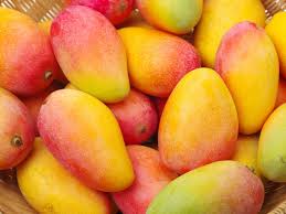 Organic Natural Mango, Certification : APEDA