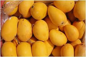 Organic Mango, Certification : APEDA