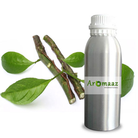 Amyris Essential Oil