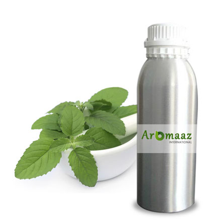 Basil Essential Oil