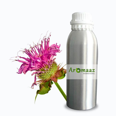 Monarda Essential Oil