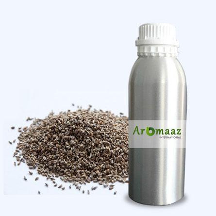 Parsley Seed Oil