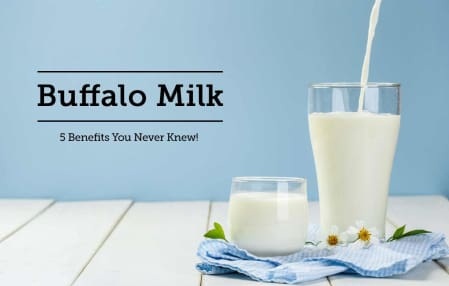 Buffalo Milk