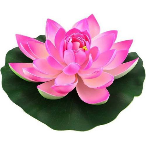Coated Plastic Artificial Pink Lotus Flowers, Feature : Dust Resistance, Easy Washable
