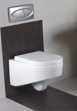 Ceramic Wall Mounted Commode