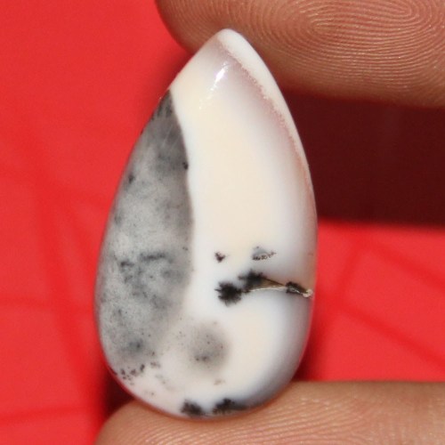 Dendrite agate stone