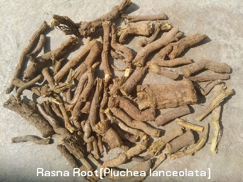 Rasna Roots