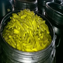 Private Label Pickled Cucumber, Packaging Type : Bulk, Drum