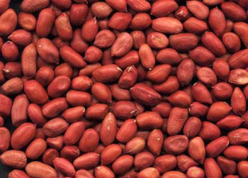 Peanut, Packaging Type : 50 kg bulk vacuum packing