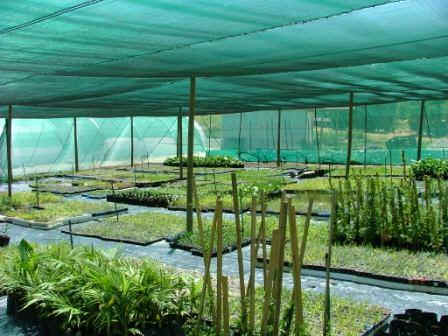 Polyhouse Shade Net, Feature : Superior Quality