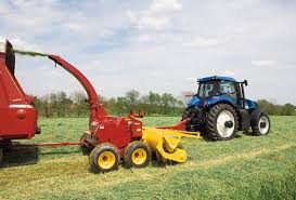 Fuel Manual Forage Harvester, for Agriculture Use, Certification : CE Certified