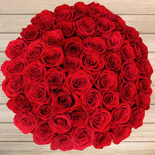 Red Roses, for Cosmetics, Decoration, Gifting, Medicine, Style : Fresh