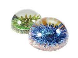 Acrylic Paper Weight, for Home Decor, Office, School, Feature : Alluring Look, Attractive Shape, Clarity