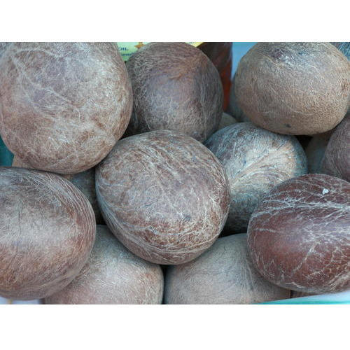 Dried Coconut Copra