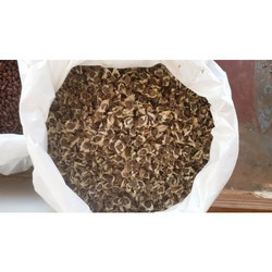 Organic Moringa Conventional Seeds, Packaging Type : Loose, Plastic Bags
