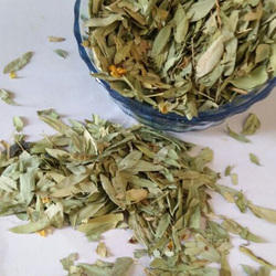 Natural Herbal Senna Leaves, Packaging Type : 25/50/80/100 kg bales pack