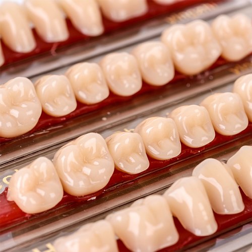 Non Polished acrylic teeth, Packaging Type : Plastic Box