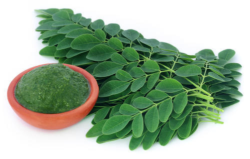 Organic moringa leaves, Feature : Highly Effective, Insect Free