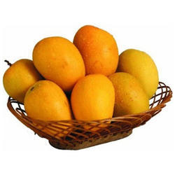 Alphonso mango, for Direct Consumption, Juice Making, Style : Fresh