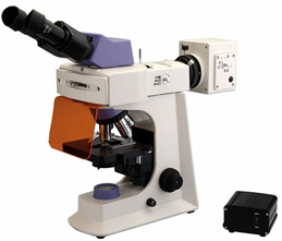 Led Fluorescence Microscope