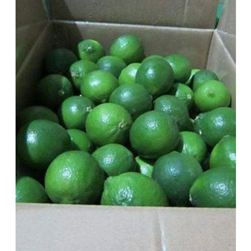 Organic Green Lemon, Packaging Type : Packed In Plastic Bags