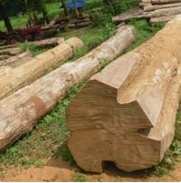 Teak Wood Round Logs, for Making Furniture, Feature : High Strength, Quality Tested