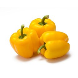 Organic Fresh Yellow Capcicum, Style : Natural